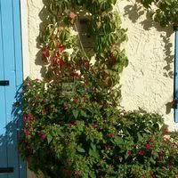 Auberge la Folie