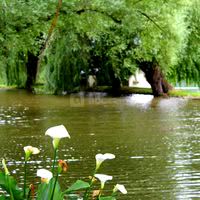 Domaine du Roullet