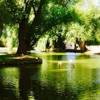 Domaine du Roullet