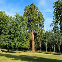 Château Le Mas de Montet