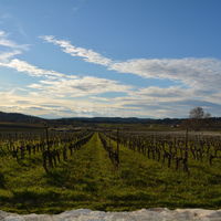 La Ferme du Pezet