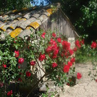 Restaurant Lou Mas de l'Olivier