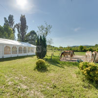 Domaine Saint Loup