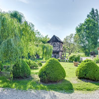 Domaine Saint Loup