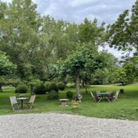 Domaine Saint Loup