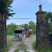 La Mariée, en calèche...