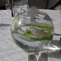 La Terrasse du Jardin