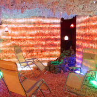 La grotte de sel (2)