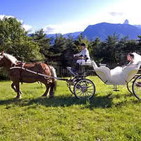 Calèche en cuir blanc