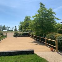 Terrain de pétanque