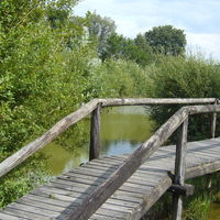 Etang pour la pheche