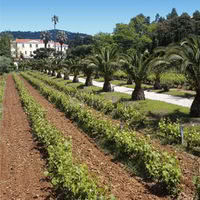 Château de Valmer