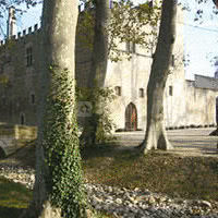 Château de fargues