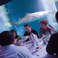 Aquarium de Saint-Malo