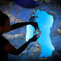 Aquarium de Saint-Malo