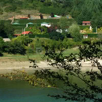 Vue du catalpa depuis l'autre rive du lac