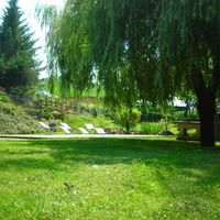 Le parc sous le saule pleureur
