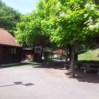 Le Catalpa