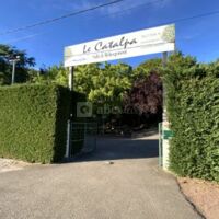 Le Catalpa