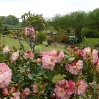 Parc en mai