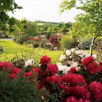 Vue du parc
