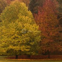 Campus Les Fontaines