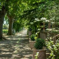 L'allée du domaine