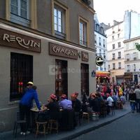 Le Requin Chagrin