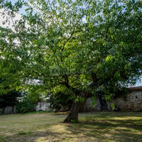 Domaine d'Arvigny