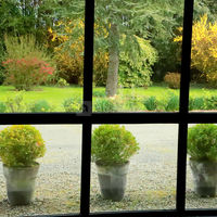 Vue sur le jardin dans la salle en pierres chaulées