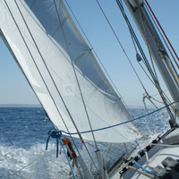 Voilier
