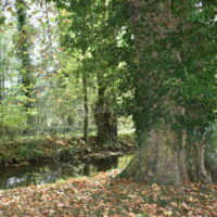 Domaine de Bierville