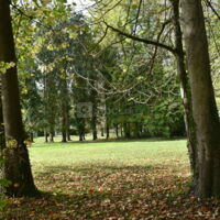 Domaine de Bierville