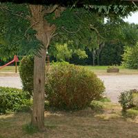 Le jardin - vue du préau