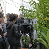 Orchidées Vacherot et Lecoufle