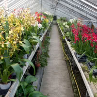 Orchidées Vacherot et Lecoufle