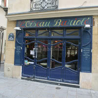 L'Oiseau Bariole