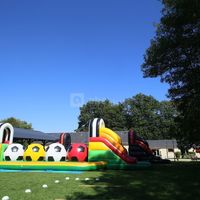 Activité dans le parc