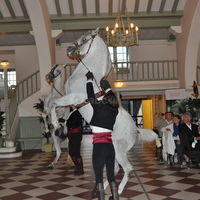 Hippodrome Deauville Clairefontaine