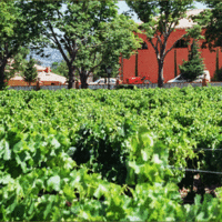 Château Real Martin