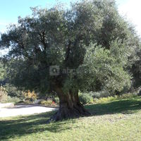 Domaine de Souviou