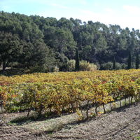Domaine de Souviou