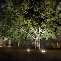 Château de Beauchamp