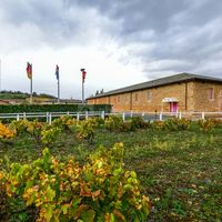 Cuvage au milieu des vignes