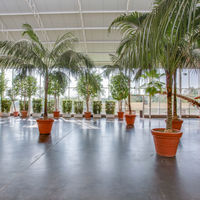 Salle de réception