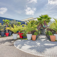 Terrasse et entrée