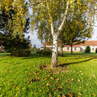 Parc les granges