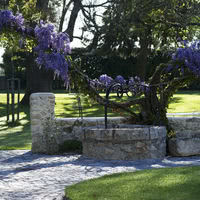 Domaine de larchey **** glycine