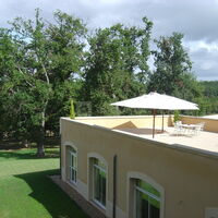 La terrasse aérienne