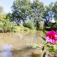 Domaine Beausoleil